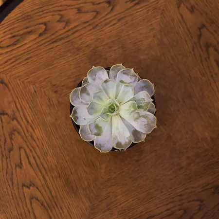 Krumlov Hotell Český Krumlov