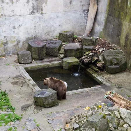 Krumlov 3* Cesky Krumlov